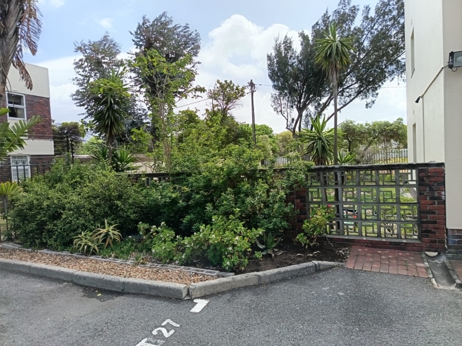 To Let 1 Bedroom Property for Rent in Pinelands Western Cape